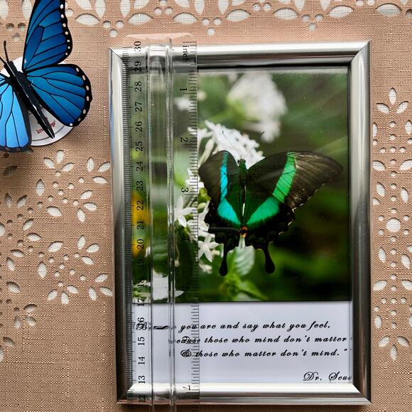 NEW Framed Butterfly on Jasmine Flower Print with Dr. Seuss Quote - Picture 6 of 8